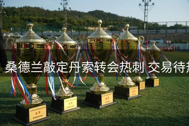 桑德兰敲定丹索转会热刺 交易待热刺寻得替身完成