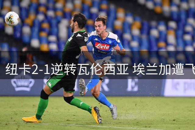 纽卡2-1逆转瓦伦西亚 埃兰加遭飞铲虚惊一场